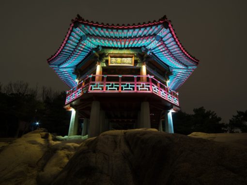 Korea Tour